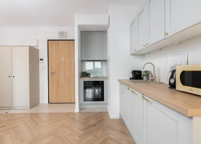 Rosette With Ac And Balcony Wiktoryn Warsaw